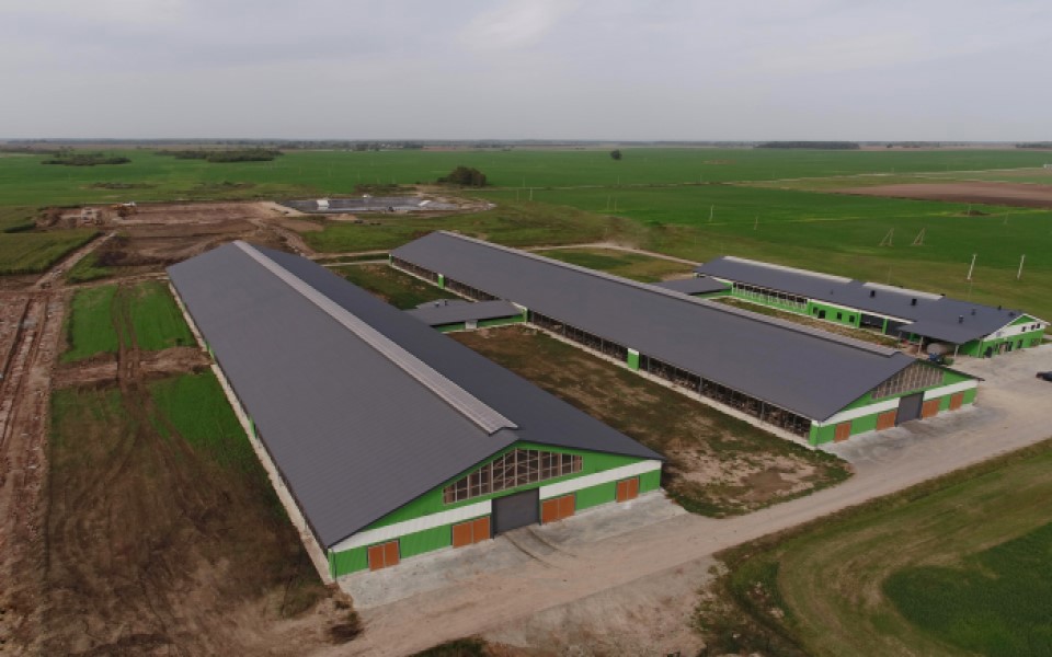 Pasirinkite tinkamą ūkinio pastato stogo spalvą