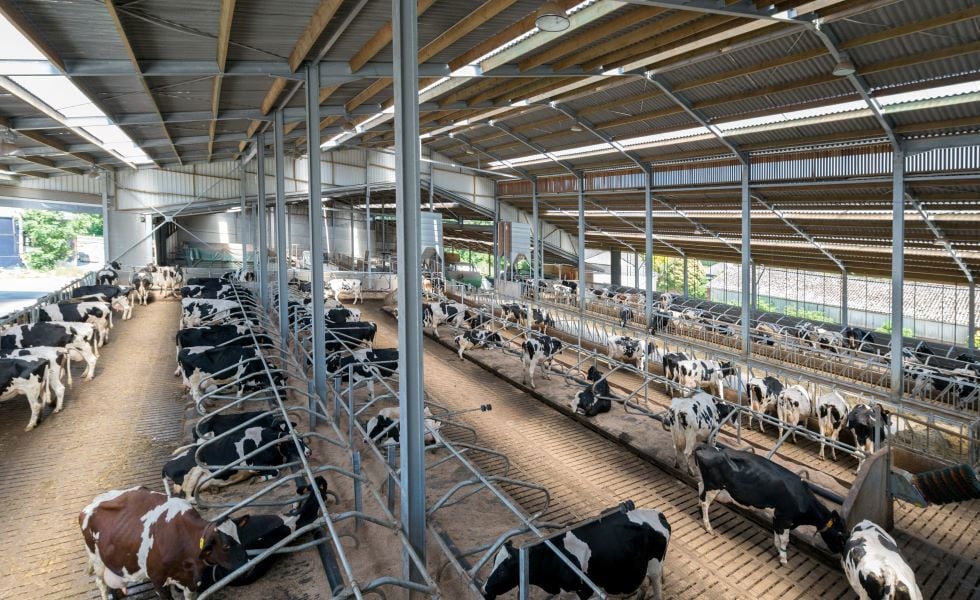Geriausi stogo dangų sprendimai - jau 100 metų