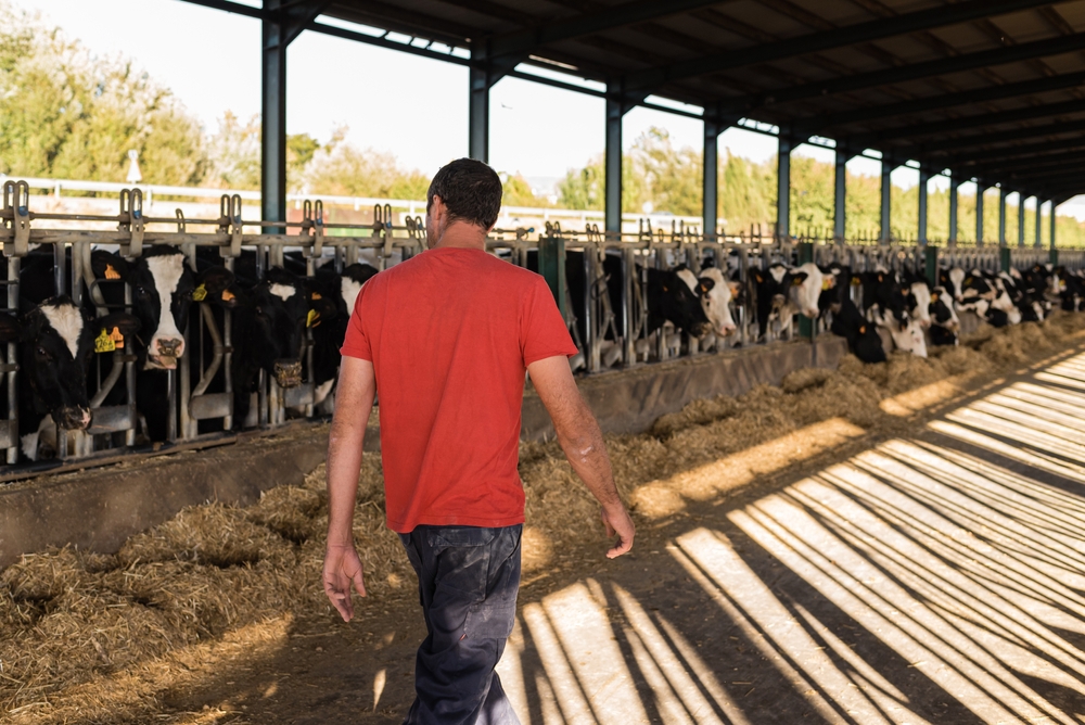Užtikrinkite gyvulių gerovę įrengdami optimalų ūkinį pastatą